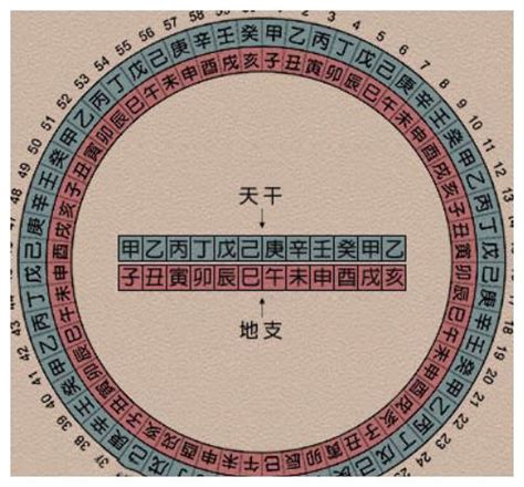 天干地支對照表|天干地支纪年法，天干地支五行对照表，干支表